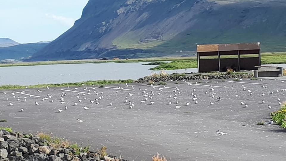 Bikers Paradise Olafsvik Exterior photo